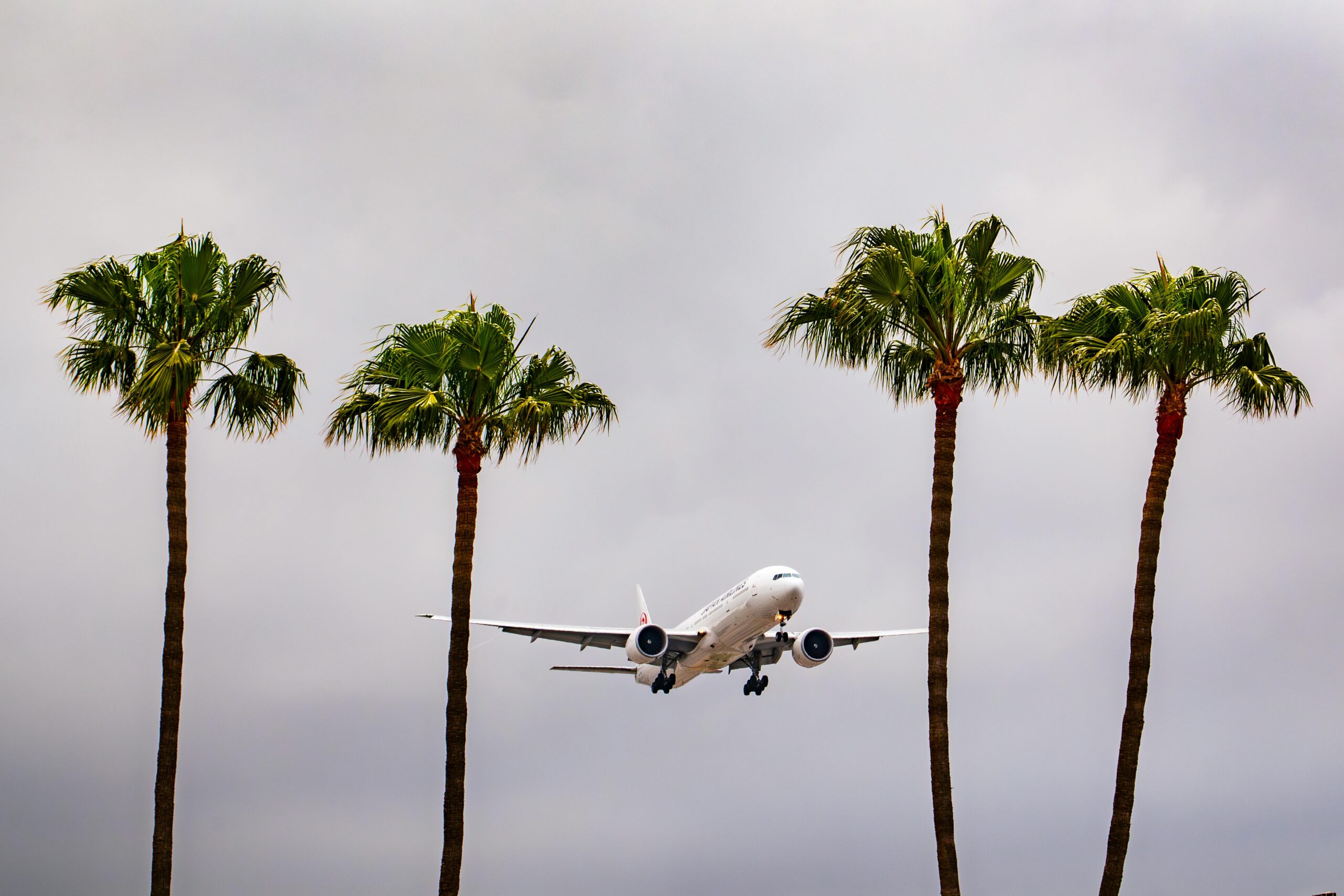 Flight DL275 Diverted: How Do Airlines Handle LAX Diversions?